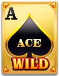 Wild Ace Slot - Wild 4 - Lucky555s