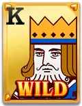 Wild Ace Slot - Wild 3 - Lucky555s