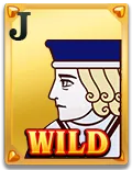 Wild Ace Slot - Wild 1 - Lucky555s