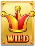 Wild Ace Slot - Wild 5 - Lucky555s